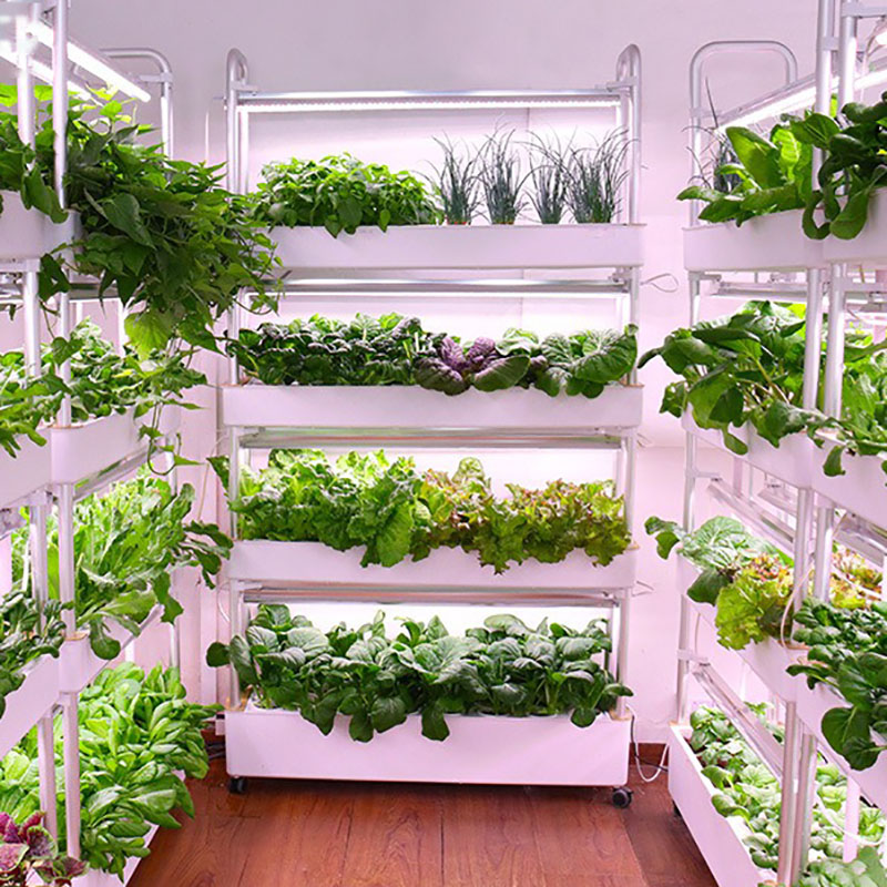 Smart Garden Box - ระบบปลูกไฮโดรโปนิกส์แนวตั้งสมาร์ทปลูกในร่มการเพาะปลูกไฮโดรโปนิกส์สวนในครัวเรือนชาวไร่พืชการเพาะปลูกทาวเวอร์