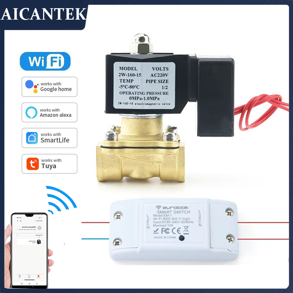 AC220V Tuya WiFi สมาร์ทโซลินอย - Smart Garden Instructions บทวิจารณ์และราคา