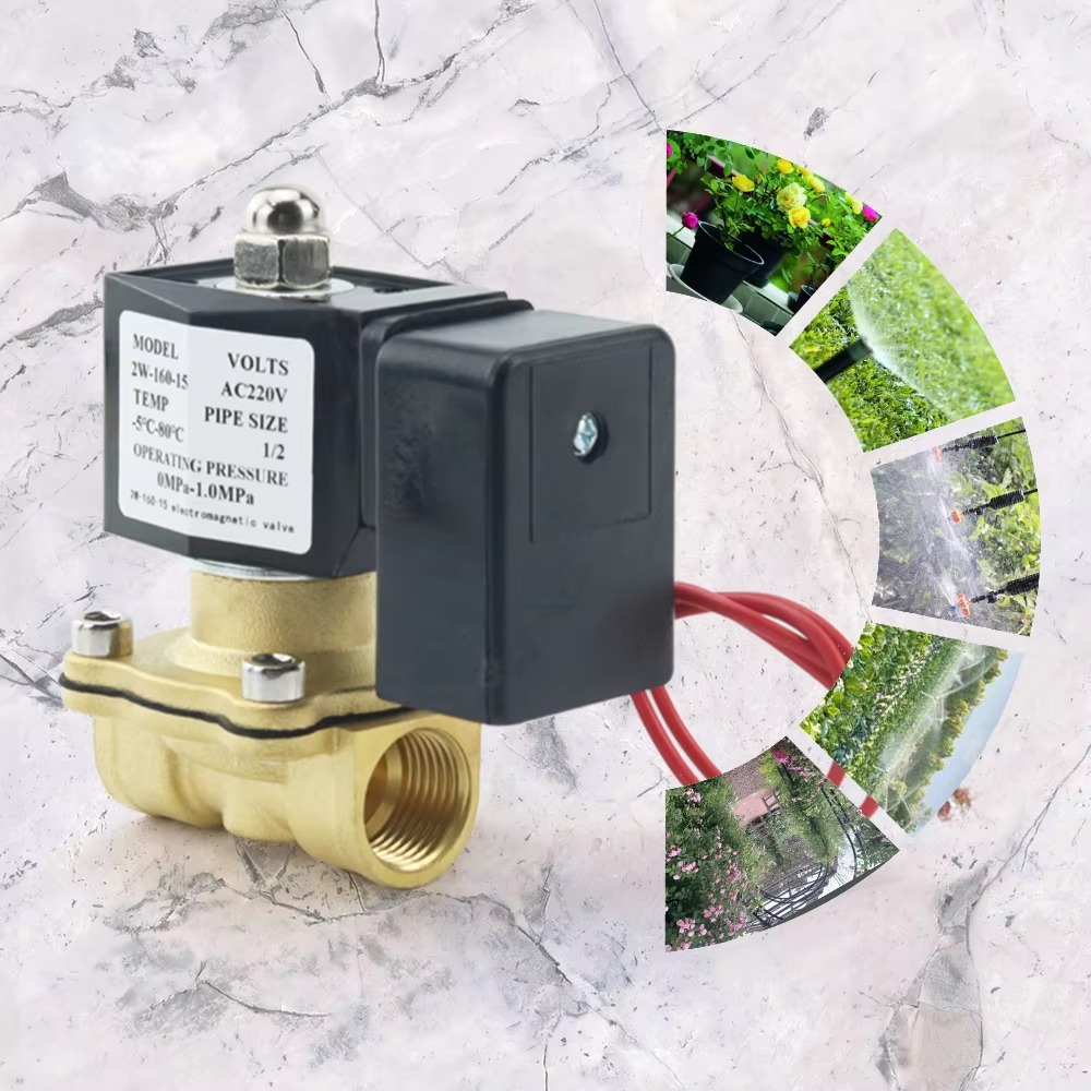AC220V Tuya WiFi สมาร์ทโซลินอย - Smart Garden Instructions บทวิจารณ์และราคา