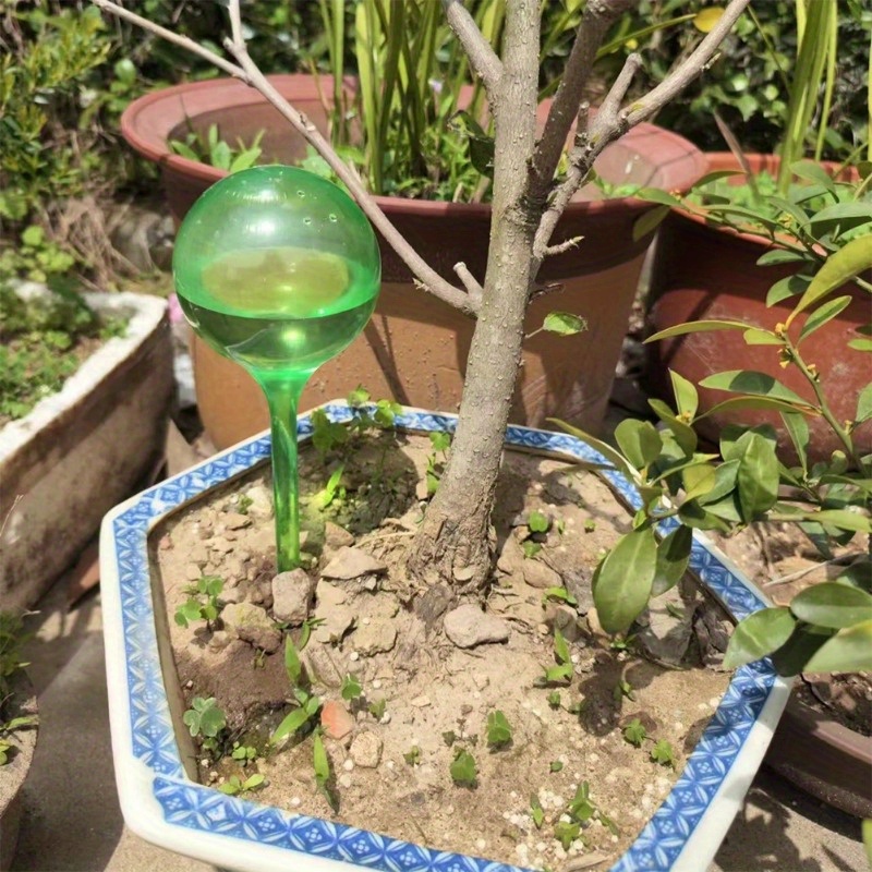 ลูกบอลรดน้ำต้นไม้ในร่ม 6 ชิ้น  - Smart Garden Monitor บทวิจารณ์และราคา