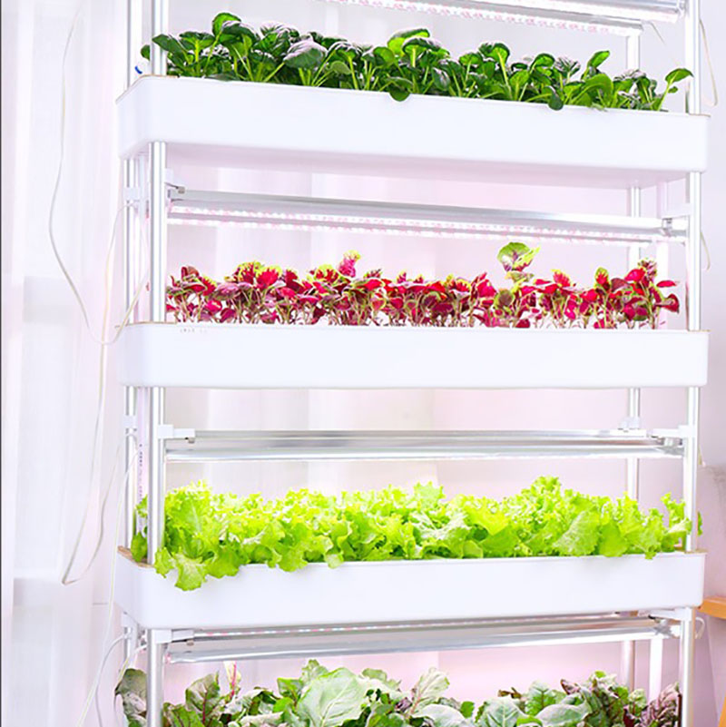 ระบบปลูกไฮโดรโปนิกส์แนวตั้งสมา - Smart Garden Box บทวิจารณ์และราคา