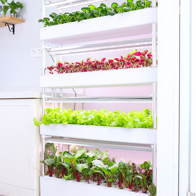 ระบบปลูกไฮโดรโปนิกส์แนวตั้งสมา - Smart Garden Box บทวิจารณ์และราคา