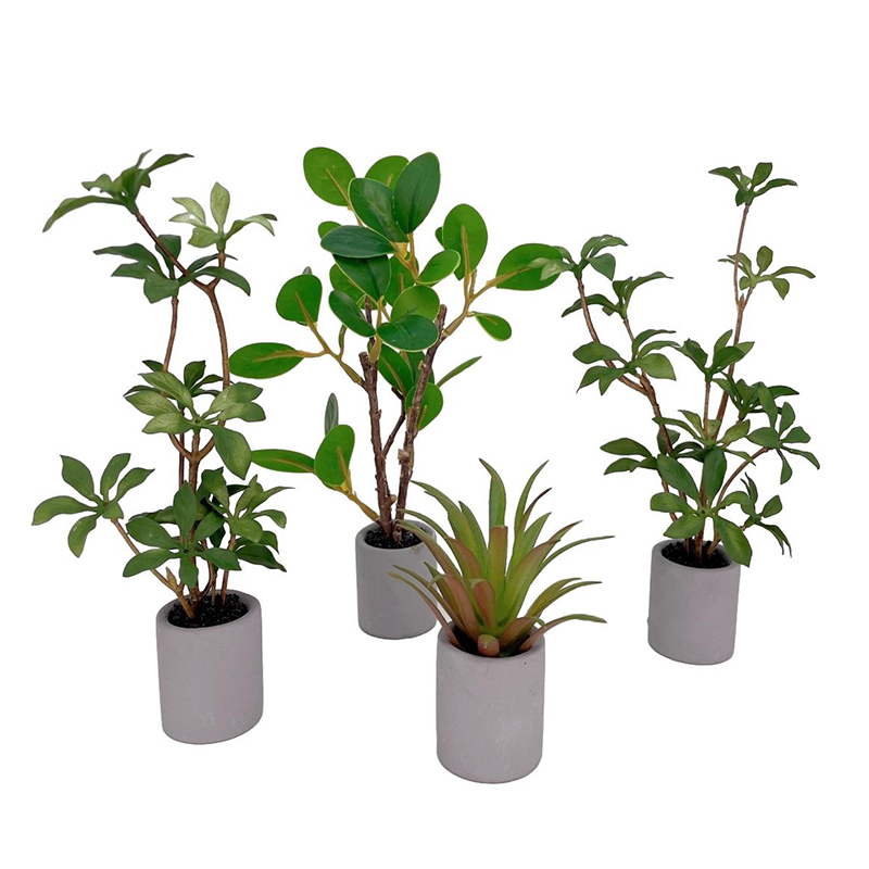 1:6 Dollhouse Miniature กระถาง - Smart Garden Mini บทวิจารณ์และราคา