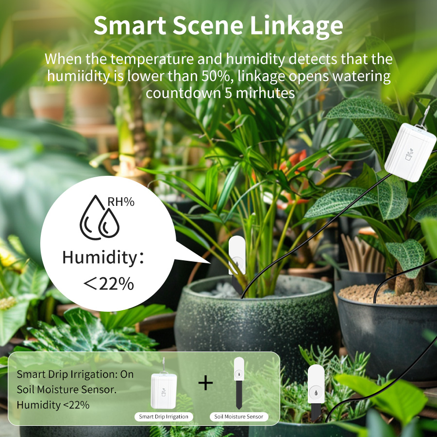 เครื่องวัดความชื้นและอุณหภูมิด - Smart Garden Zigbee บทวิจารณ์และราคา
