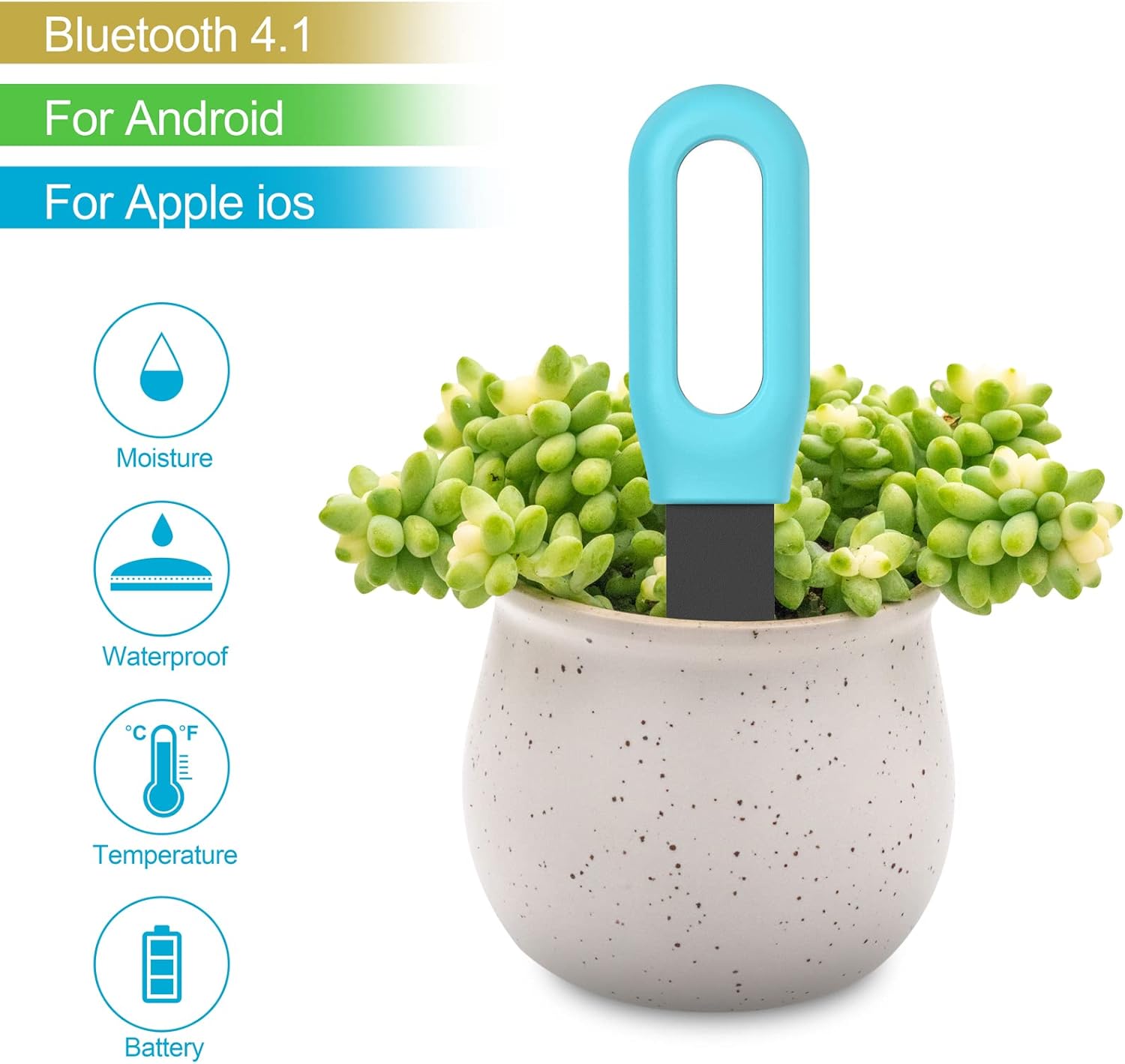เครื่องวัดความชื้นและอุณหภูมิด - Smart Garden Zigbee บทวิจารณ์และราคา