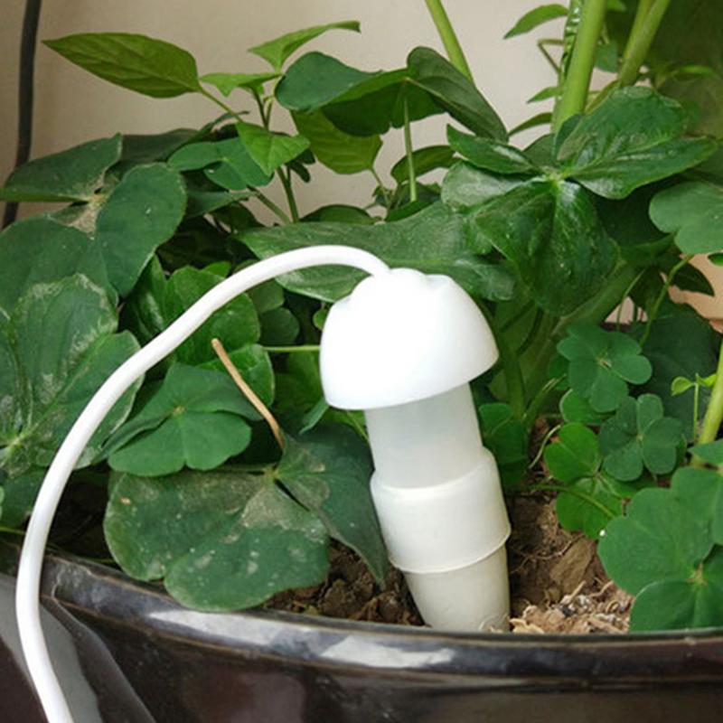 พืชรดน้ําอัตโนมัติอุปกรณ์พืชหย - Yoocaa Smart Garden บทวิจารณ์และราคา