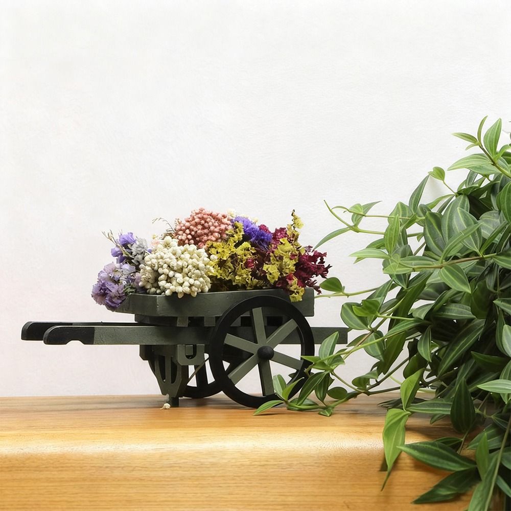 ของตกแต่งสวนเทพนิยาย ชุดจำลองฉ - Smart Garden Mini บทวิจารณ์และราคา